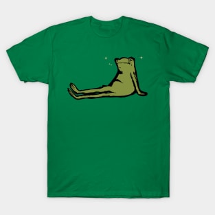 Lazy Frog - Sleep Frog T-Shirt